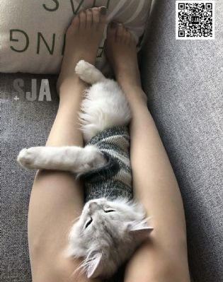 色8欧美日韩国产无线码-理论片在线手机观看